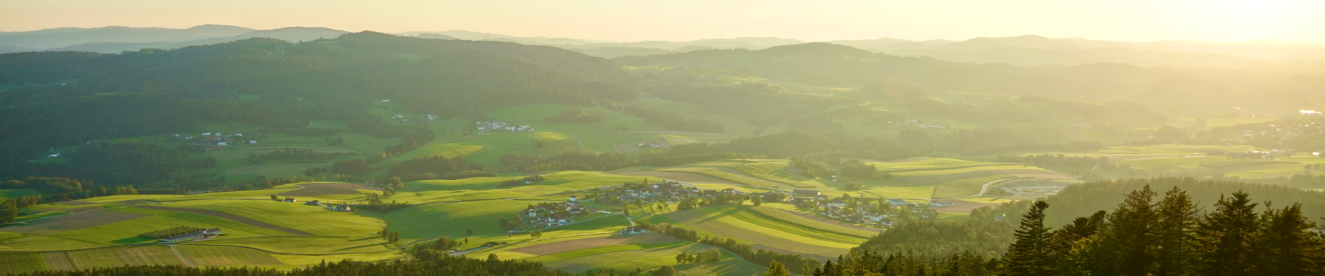Im Vordergrund große Felsen und dichter Wald, im Hintergrund eine Hügellandschaft im Abendlicht.