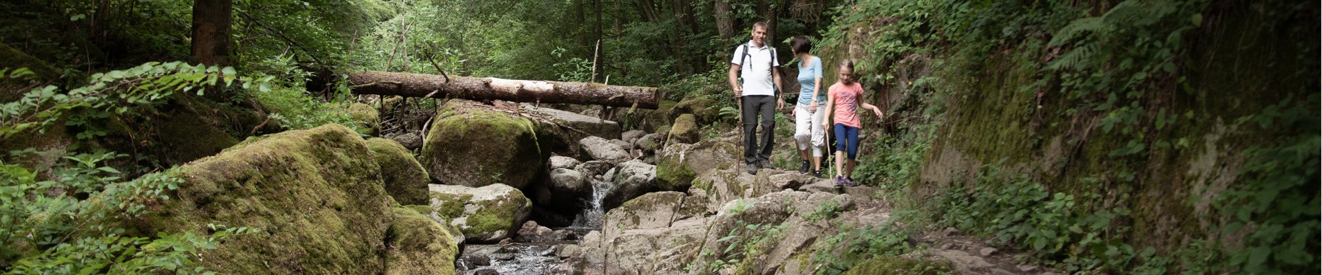 Foto Oberösterreich Tourismus GmbH/Martin Fickert: Familienwanderung durchs Naturschutzgebiet Pesenbachtal im Mühlviertel.